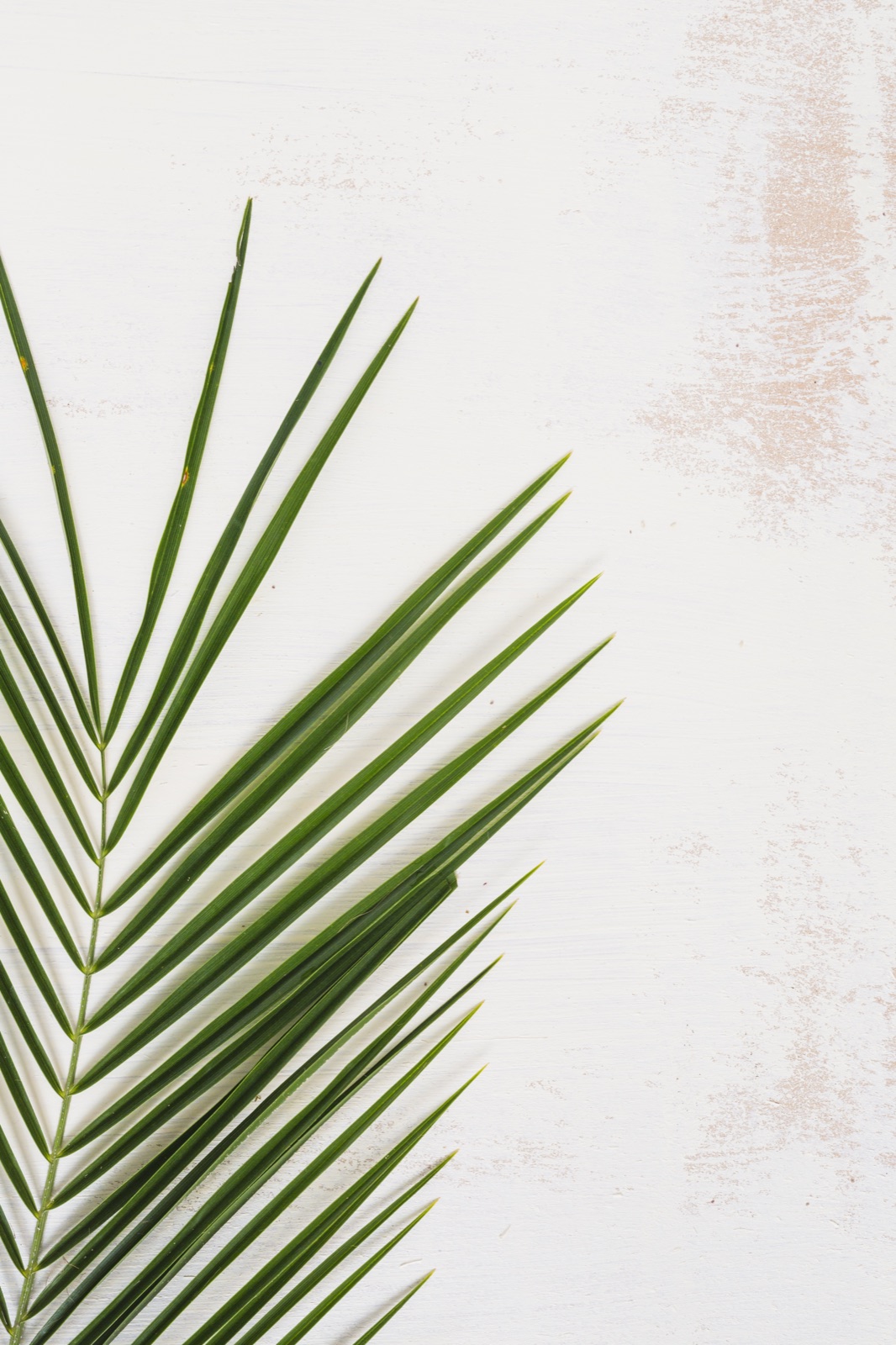 Tropical backdrop inspiration